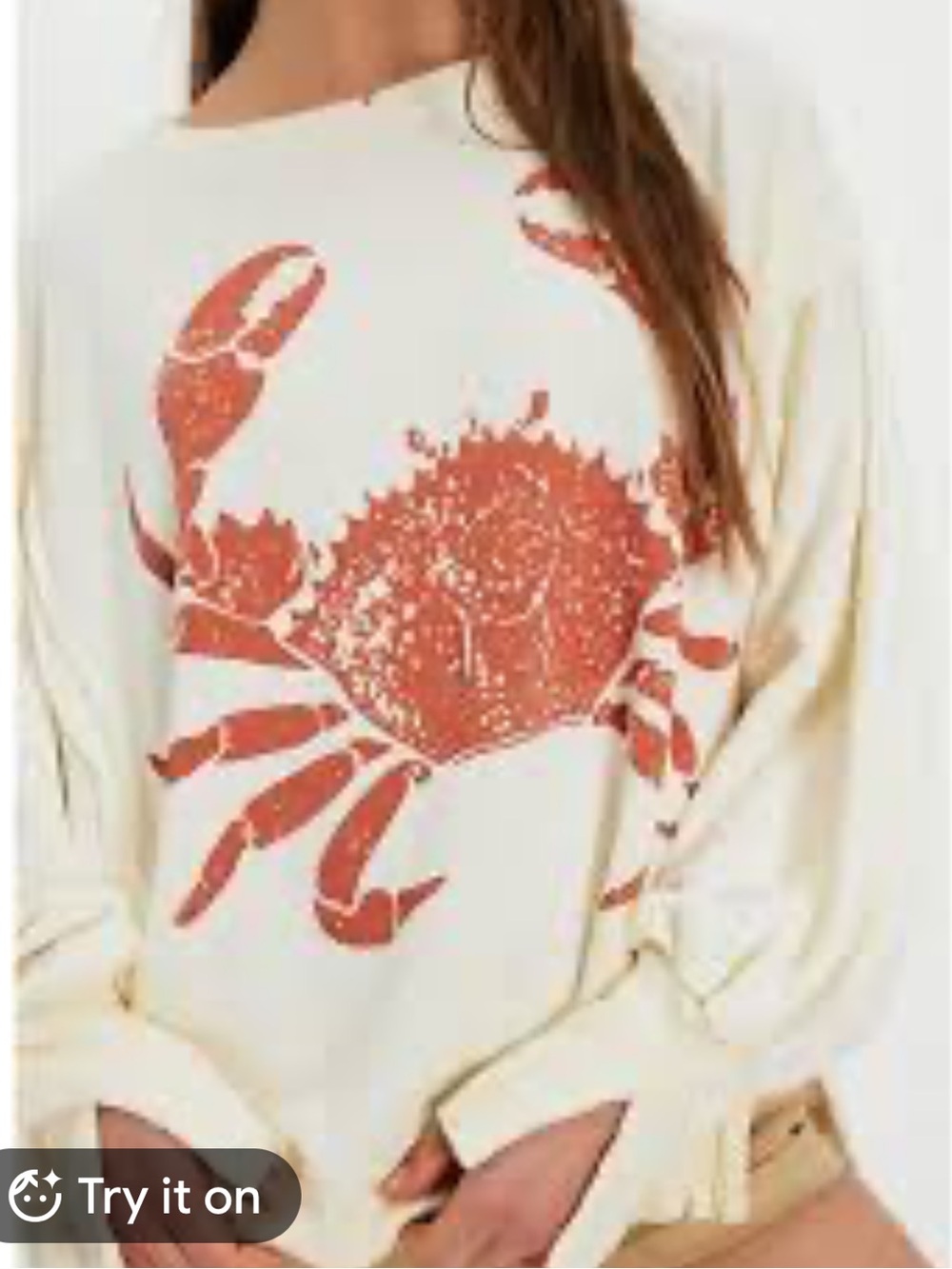076.New Free People We The Free Graphic Camden Pullover Cream Sweater